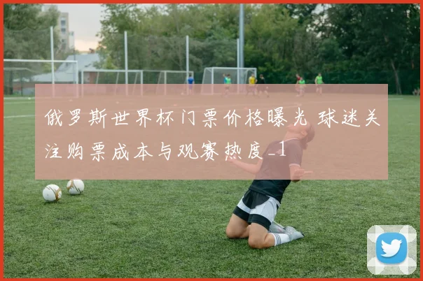 俄罗斯世界杯门票价格曝光 球迷关注购票成本与观赛热度_1
