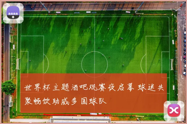 世界杯主题酒吧观赛夜启幕 球迷共聚畅饮助威多国球队