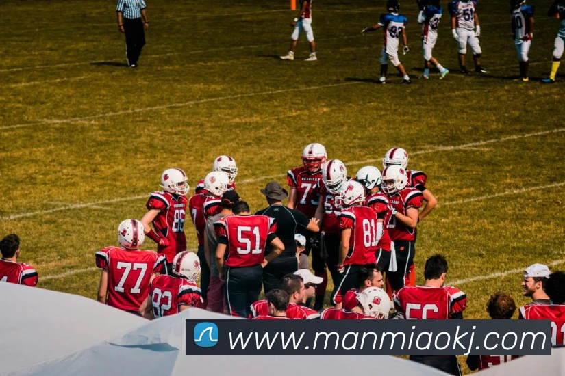 华会体育app官网平台生态图