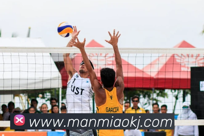 华会体育app官网APP 封面图